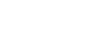 zyNox IT Group